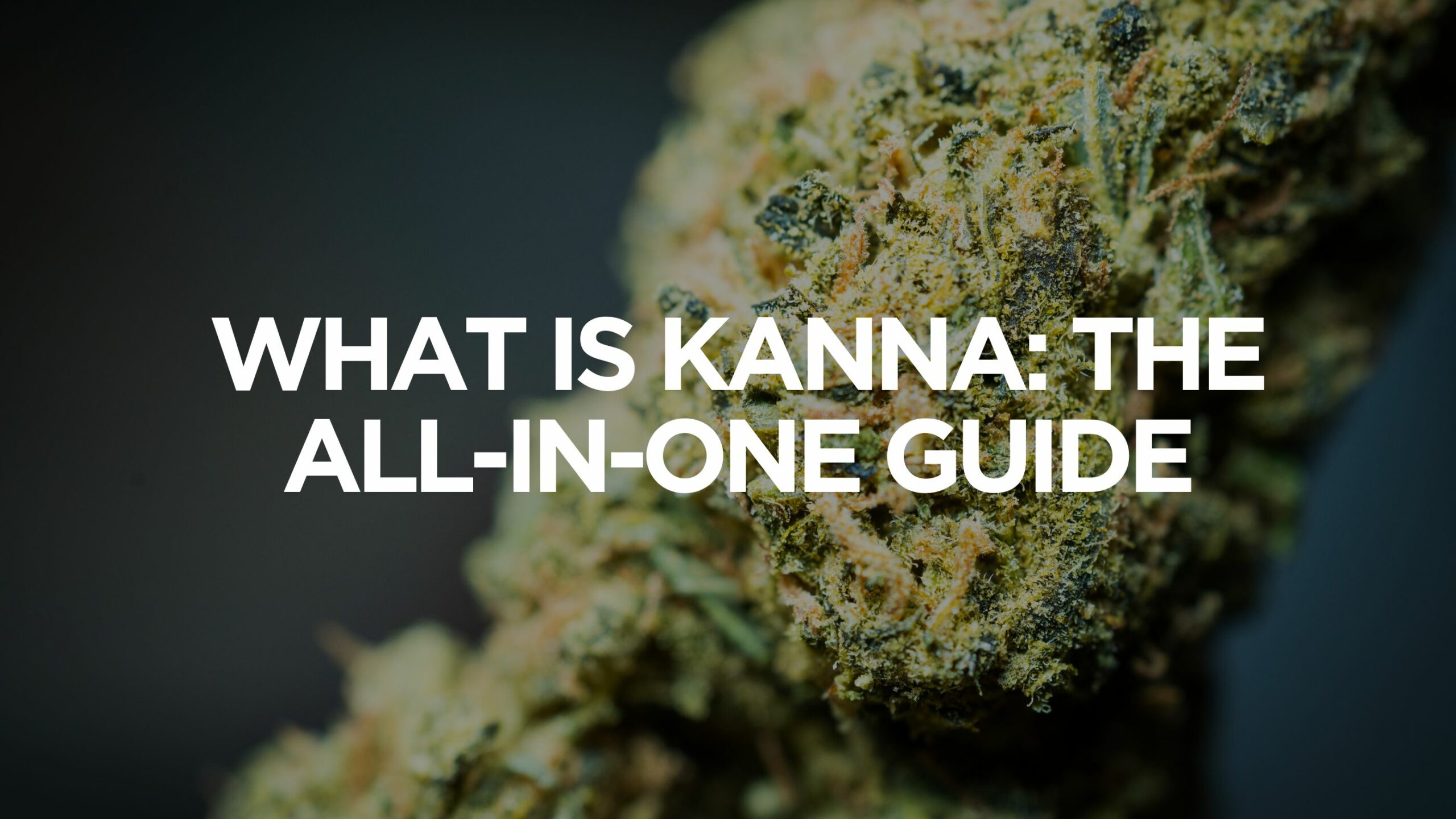 What is Kanna: The All-In-One Guide