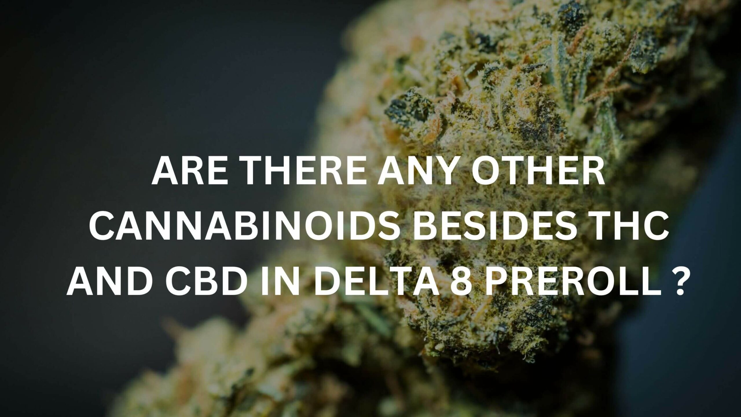 Are there any other cannabinoids in a hemp-derived or marijuana-derived delta 8 preroll besides thc and cbd?