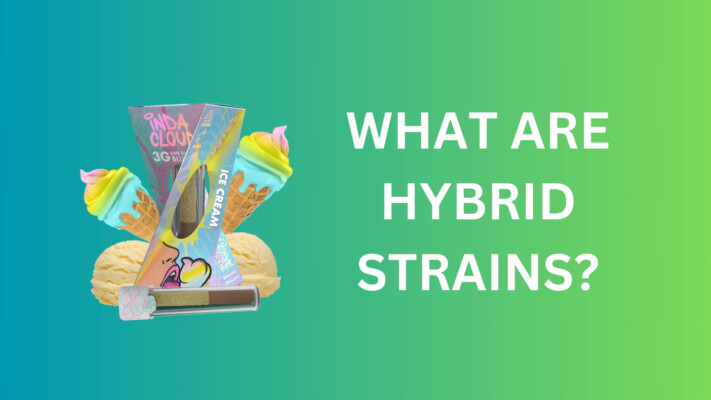 What Are Hybrid Strains? A Comprehensive Guide for Buyers