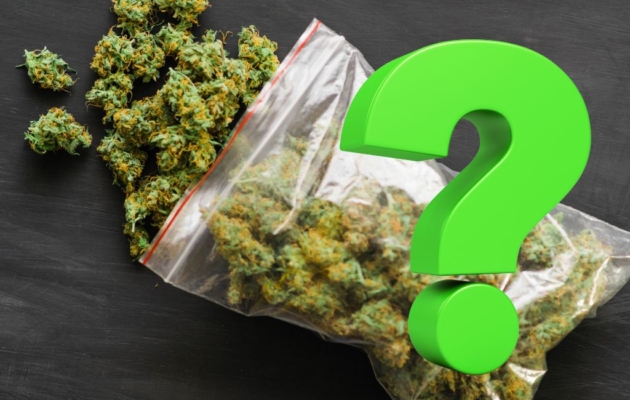 Is Delta 9 Real Weed? Here’s the Real Deal