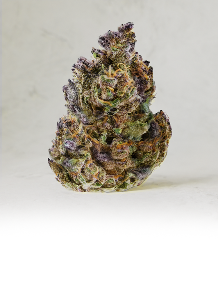 Grandaddy Purple Tile