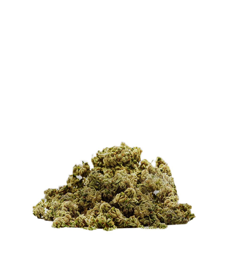 Lemon Cherry Gelato