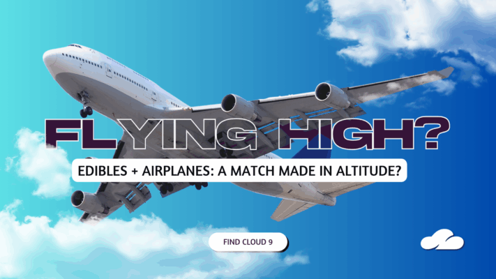 Flying High? A Guide to Taking Edibles on Planes (Legally, Comfortably, and Without Panic)