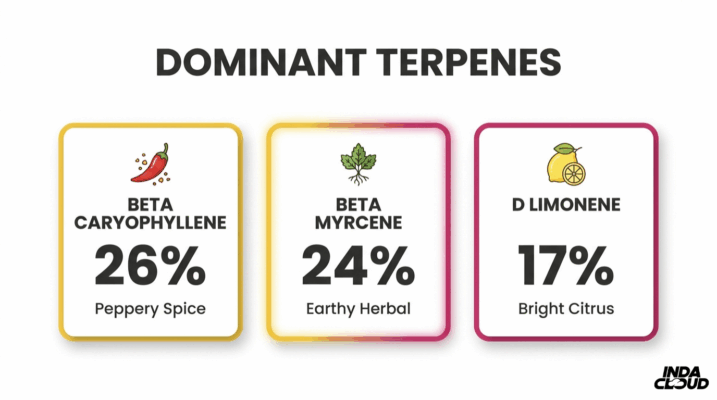 Alien Og Dominant Terpene Profile Showing Beta Caryophyllene 26 Percent, Beta Myrcene 24 Percent, And D Limonene 17 Percent