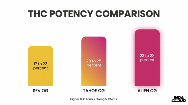 Thc Potency Comparison Chart Showing Alien Og At 22 To 28 Percent Thc Compared To Sfv Og And Tahoe Og