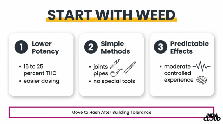 Hash Vs Weed: What'S The Difference? 10 Beginner Guide Recommending Starting With Weed First Due To Lower Potency, Simple Methods, And More Predictable Effects