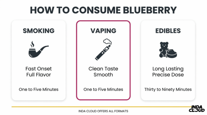 Blueberry Strain: Info, Effects, &Amp; More 10 Blueberry Strain Consumption Methods Comparison Showing Smoking, Vaping, And Edibles With Onset Times And Experience Differences