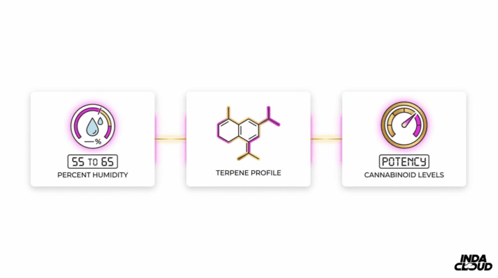Art Of Joint Smoke: Master The Technique &Amp; Tips 9 Cannabis Flower Quality Factors Infographic Showing Ideal Humidity, Terpene Profile, And Cannabinoid Potency Levels
