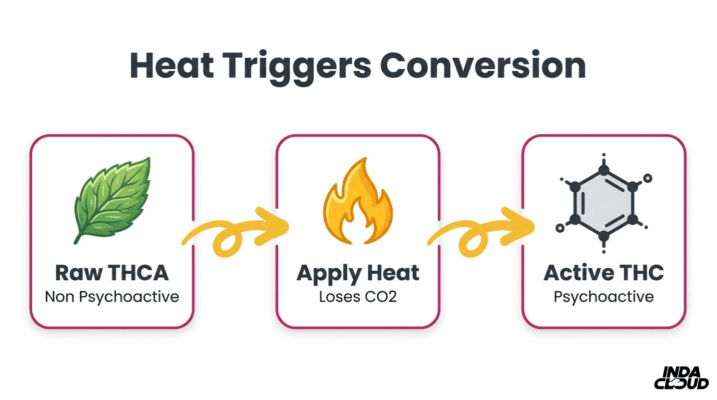 Understanding Thca: Benefits, Uses, &Amp; Legality 7 Thca To Thc Decarboxylation Process Showing Raw Thca, Heat Application, Co2 Loss, And Active Psychoactive Thc Conversion