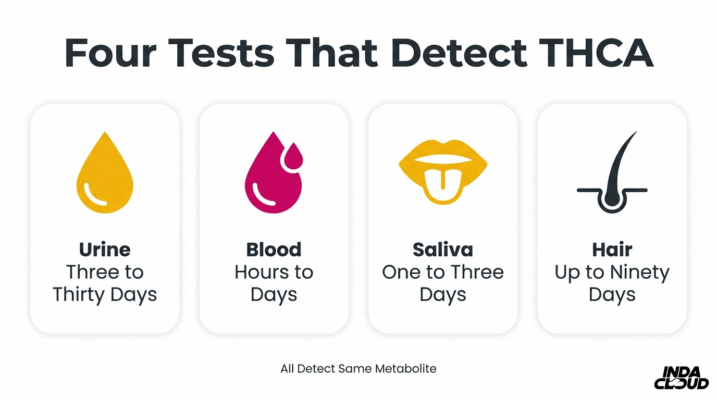 Four Drug Tests That Detect Thca Metabolites Including Urine, Blood, Saliva, And Hair With Different Detection Windows