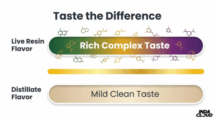 Live Resin Vs Distillate Cart: Which Is Best? 8 Flavor Profile Comparison Showing Live Resin With Rich Complex Taste And Distillate With Mild Clean Taste