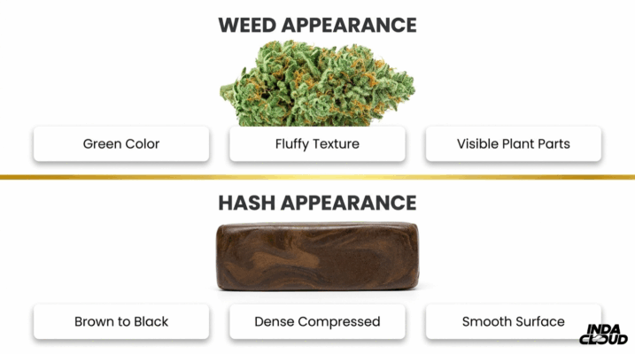 Hash Vs Weed: What'S The Difference? 7 Weed And Hash Appearance Guide Comparing Green Fluffy Weed Buds With Dense Smooth Brown Hash Blocks
