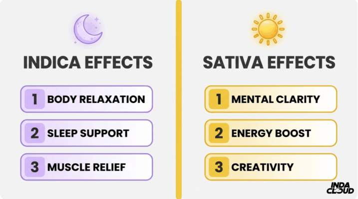 Indica Effects Vs Sativa Effects Chart Showing Body Relaxation, Sleep Support, Muscle Relief For Indica And Mental Clarity, Energy Boost, Creativity For Sativa