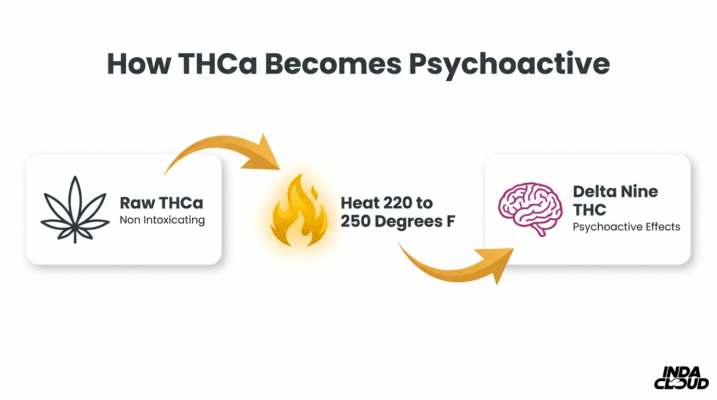 Thca Decarboxylation Process Infographic Showing Raw Thca Converting To Delta 9 Thc Through Heat Activation