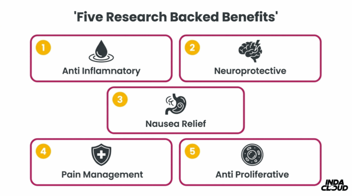 Understanding Thca: Benefits, Uses, &Amp; Legality 8 Five Research Backed Thca Benefits Including Anti Inflammatory, Neuroprotective, Nausea Relief, Pain Management, And Anti Proliferative Properties
