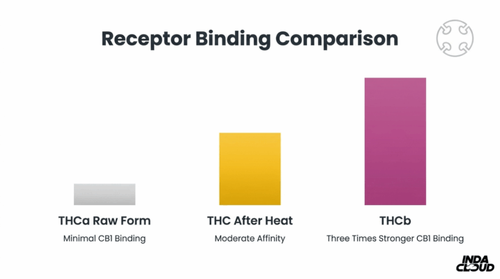 Receptor Binding Comparison Chart Showing Thca Raw Form, Thc After Heat, And Thcb With Stronger Cb1 Binding Affinity