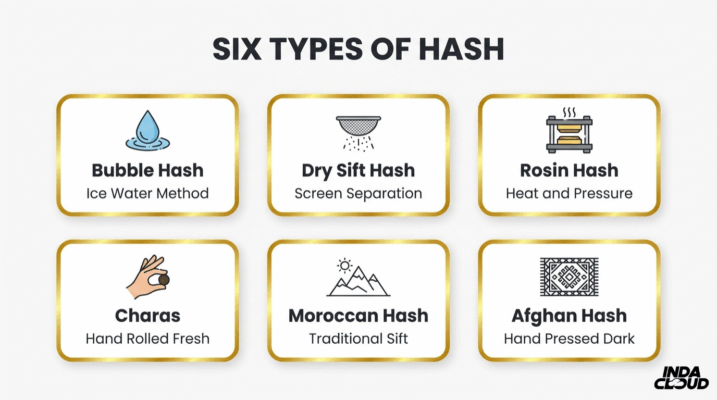 Hash Vs Weed: What'S The Difference? 9 Six Types Of Hash Infographic Showing Bubble Hash, Dry Sift Hash, Rosin Hash, Charas, Moroccan Hash, And Afghan Hash