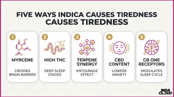 Five Ways Indica Causes Tiredness Including Myrcene, High Thc, Terpene Synergy, Cbd Content, And Cb1 Receptors