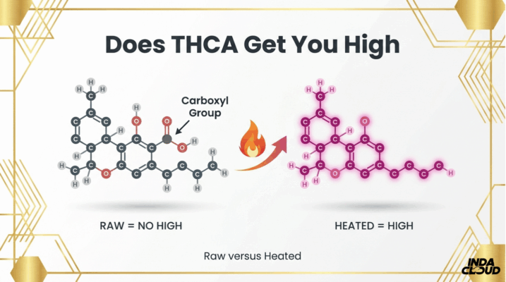 Does THCA Get You High? Understanding the Effects and Potential for Euphoria